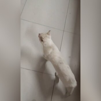 Una palabra es suficiente para