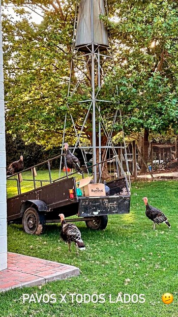 La nueva casa de campo