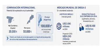 Omega-3: producción y precio internacional