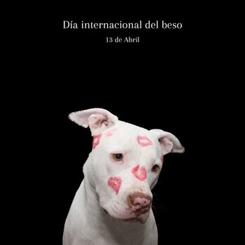 (unionguanajuato.mx)