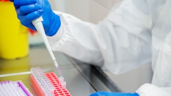 Avances en el nuevo tratamiento contra el cáncer de páncreas: logran reducir el tamaño de los tumores en siete pacientes y eliminar la metástasis en uno