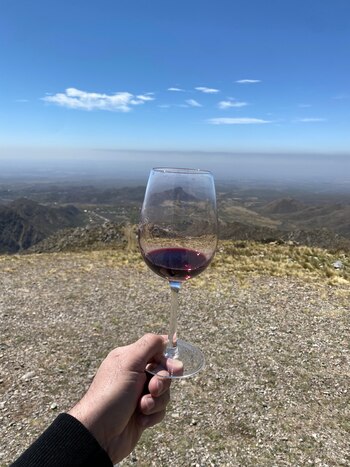 El vino argentino es diverso