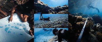 Miembros de Jardineros de coral