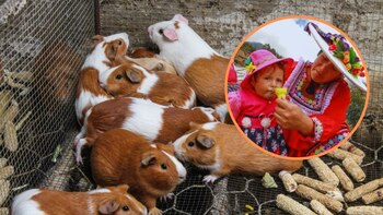 Las creadoras de este producto