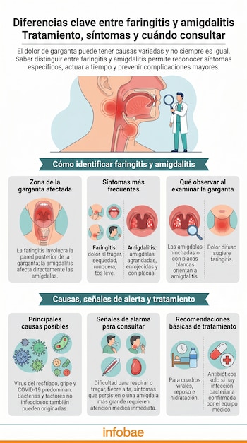 Infografía médica que compara faringitis y amigdalitis, mostrando zonas afectadas, síntomas, causas (virales/bacterianas), signos de alarma y tratamientos.