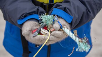 Person picking up garbage including