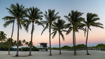 Las playas de Miami, parte