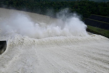 El presidente Gustavo Petro calificó
