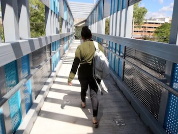 El incidente reabre el debate sobre la cultura vial y el respeto a la infraestructura urbana en Honduras. (FOTO: EL HERALDO)