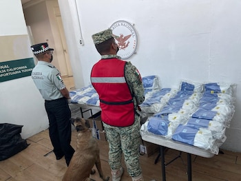 Cocaína decomisada en Tijuana