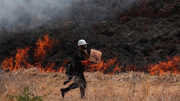 Se agravan los incendios en Bolivia y la respuesta oficial no logra contener el avance del fuego