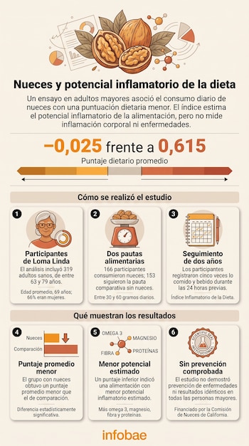 Infografía con ilustraciones de nueces, gráficos comparativos, seis recuadros numerados con iconos y textos sobre un estudio alimentario.