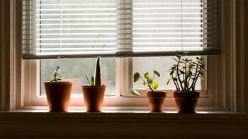 Un sistema de alerta entre