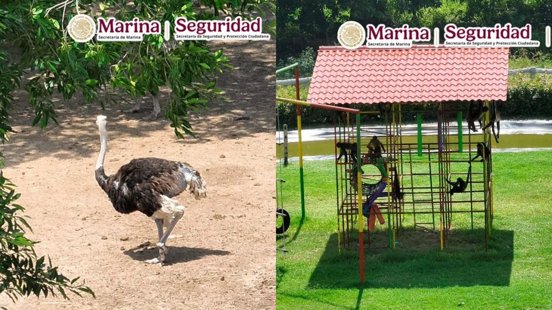 Foto: Marina