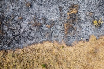 Los incendios ya superaron marcas