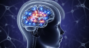 Representación realista de la cabeza de un niño en perfil, con el cerebro transparente mostrando neuronas y sinapsis iluminadas en azul, naranja y violeta.