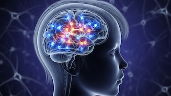 Qué es la demencia infantil y cuáles son los mecanismos detrás de su desarrollo temprano, según un estudio