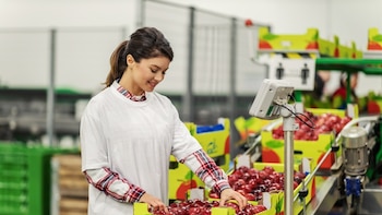 El crecimiento del comercio agrícola global dependerá cada vez más de la logística