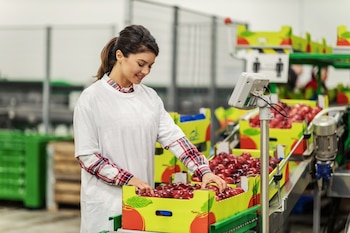 De acuerdo con las proyecciones, la producción agrícola mundial continuará expandiéndose principalmente gracias a mejoras en la productividad, mientras que el comercio internacional mantendrá un rol estratégico para abastecer regiones con distintos niveles de producción y consumo (Foto: Shutterstock)