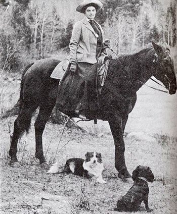 El trabajo de Emily Carr