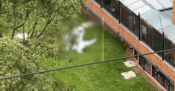 Miembros del CTI de la