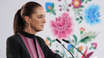 Empresas privadas pagarán por fallas en proyectos federales de inversión mixta, aclara Sheinbaum