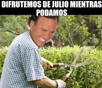 Usuarios de redes sociales despiden