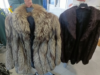 Los dos abrigos de piel que pretendía vender la cuidadora (Guardia Civil)