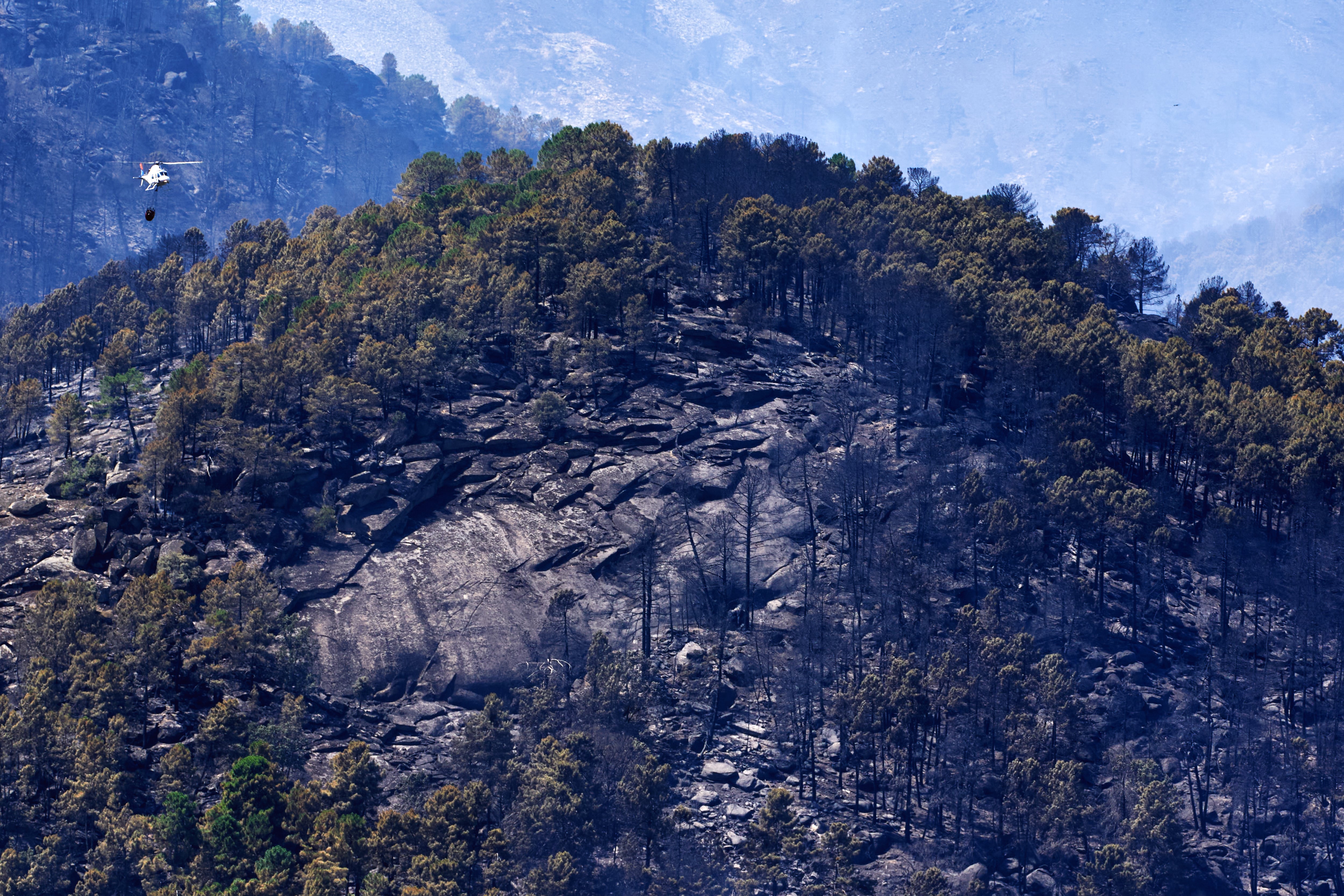 Paisaje quemado en el Parque Natural del Valle de Iruelas arrasado por el incendio de Burgohondo (Ávila) este domingo. (EFE/Raúl Sanchidrián)