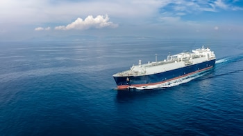 La OMI promueve un corredor