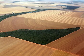 Vista de grandes extensiones de tierra listas para el cultivo de soja; algodón y maíz en el estado brasileño de Mato Grosso, en una fotografía de archivo. EFE/Igo Estrela/Obritonews
