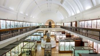 Museo Horniman, en Londres