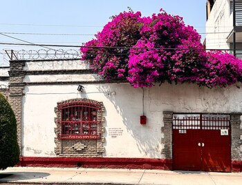 La colonia Portales podría tener