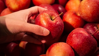 Las manzanas, una fruta para todos los días: una fuente de energía que protege el corazón y cuida el tránsito intestinal