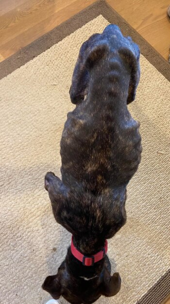 Al momento de su rescate,