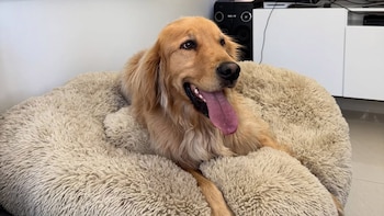 Reclamos reiterados a una empresa