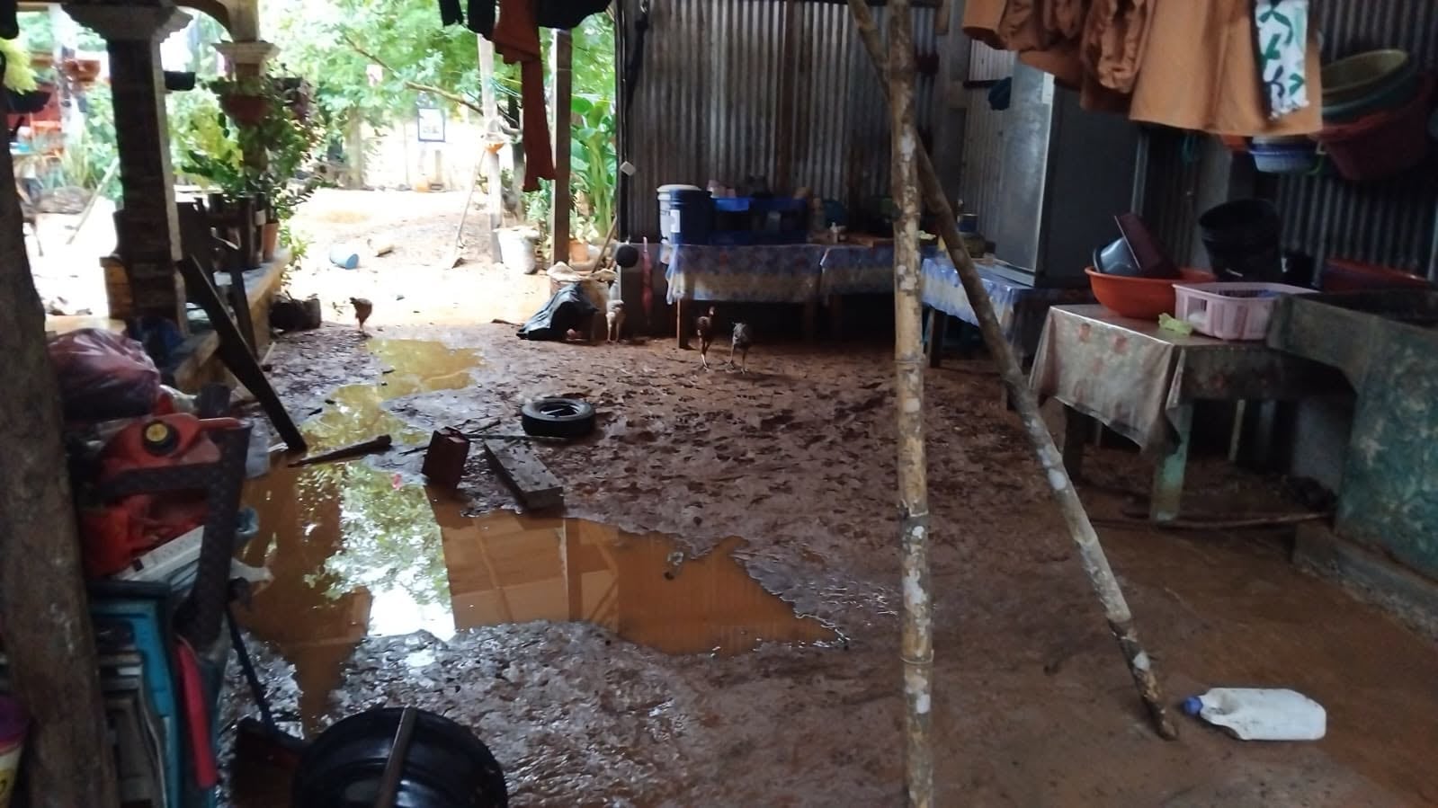 Más de 1,900 viviendas presentan daños, 88 de ellas se han declarado con daño severo o pérdida total. (Conred) (Conred)