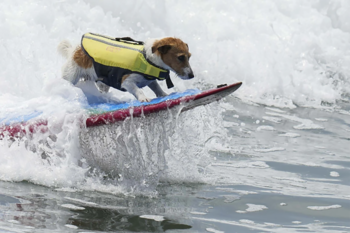 Efruz porta con orgullo su
