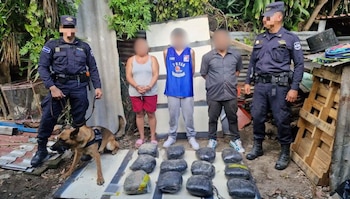 El operativo en San Salvador permitió incautar 12 porciones grandes de marihuana, una balanza digital y tres teléfonos celulares. (Retomado de: Gustavo Villatoro)