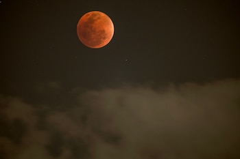 Miami-Dade, Broward y Palm Beach tendrán visibilidad completa del eclipse lunar, y en Miami la Luna estará a unos 51 grados sobre el horizonte sur-sureste en el pico del fenómeno (Photo by Wikus de Wet / AFP)