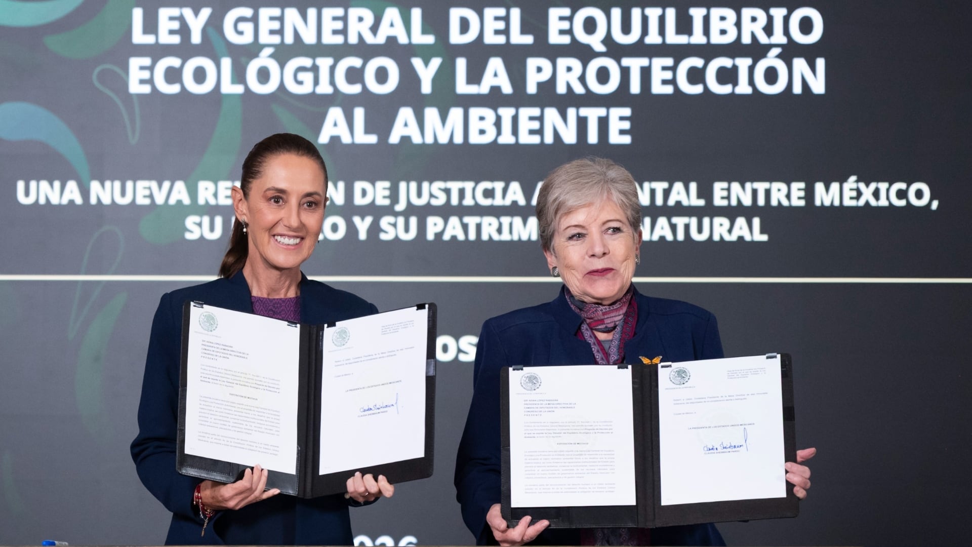 Organizaciones piden parlamento abierto para reformar ley ambiental. (Presidencia)