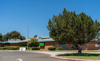 Edificio de la Escuela Primaria Isador de ladrillo con techo azul y un árbol grande de tronco retorcido al frente; un camino asfaltado con bordillo rojo visible