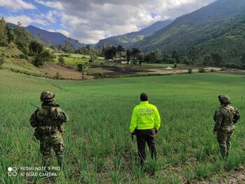 El Viejo ha sido vinculado