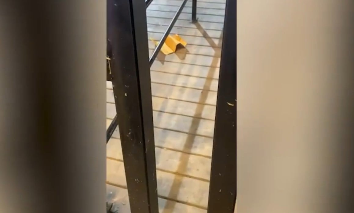 Caso Pamela Franco: amenazas, balas y una exigencia que preocupa a la Policía. Infobae Perú / Captura: X