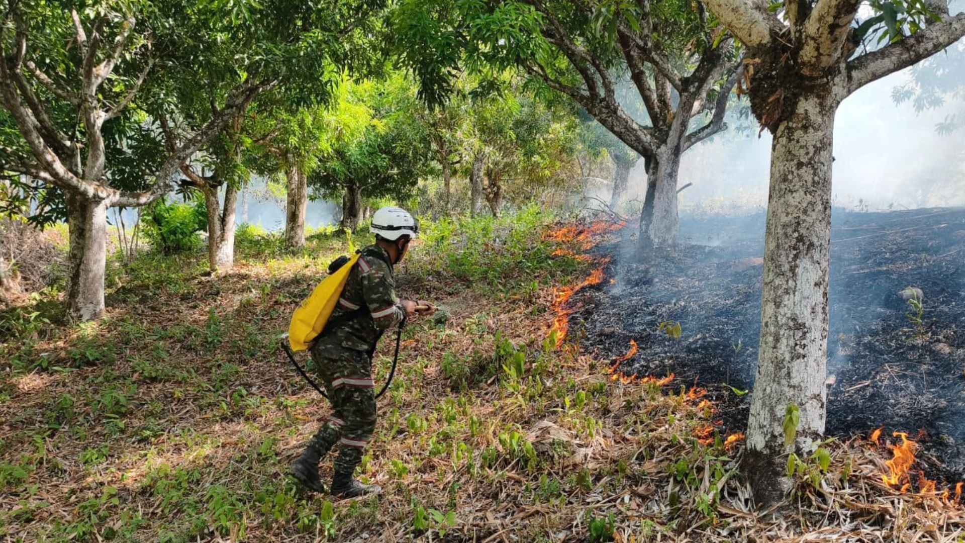 Incendio forestal en Colombia: 1.340 hectáreas afectadas en Villa de Leyva