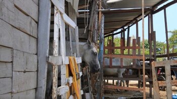 Imagen de referencia. Encontraron a