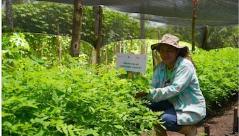 La designación de El Salvador