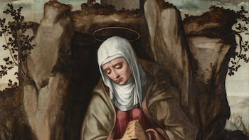 La Galería de las Colecciones