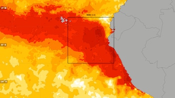 El Niño 2026–2027: la ciencia ya advirtió dónde está el riesgo, ¿la inversión pública llegará a tiempo?