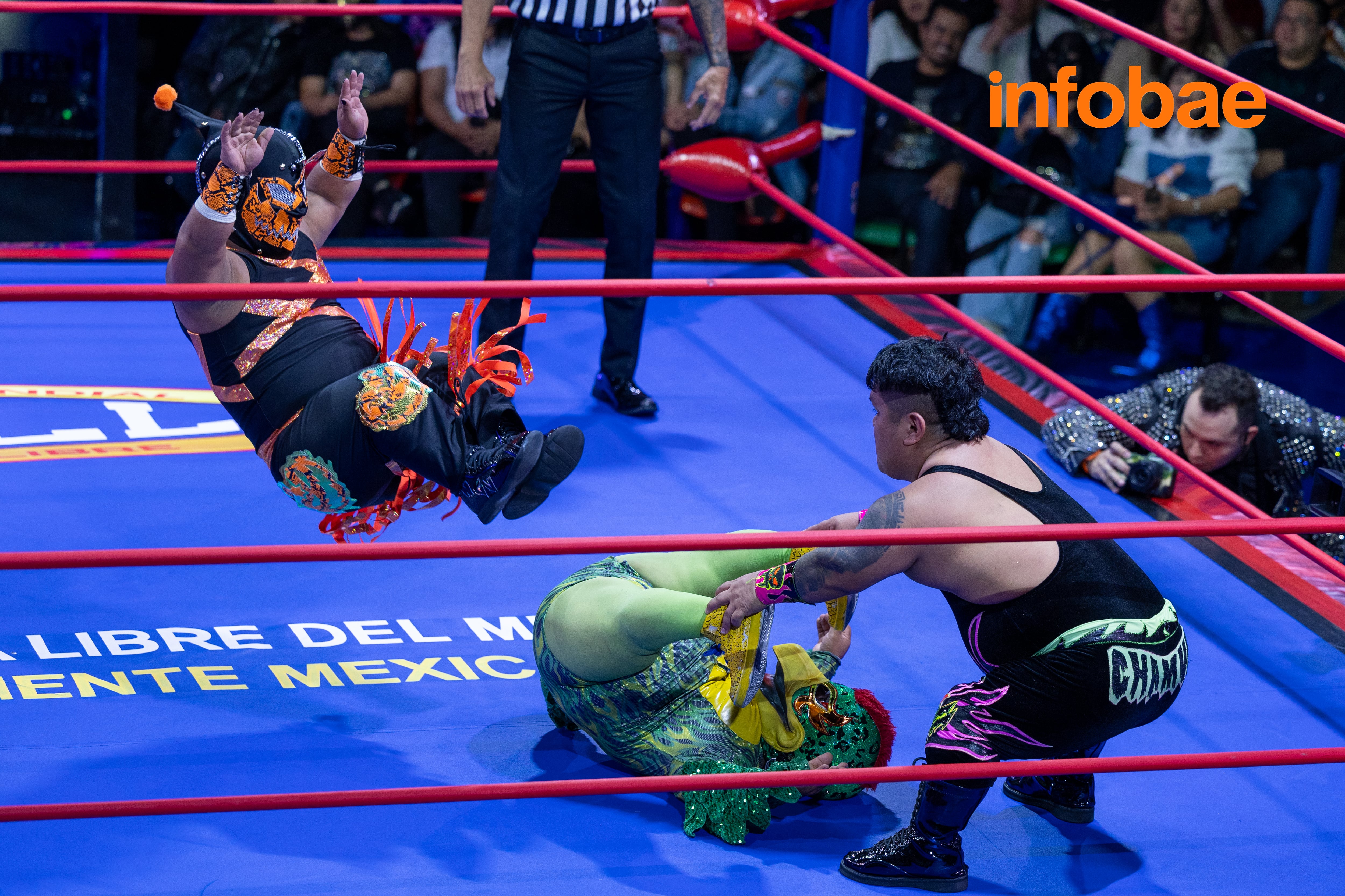 (CMLL / Diego Cedrix)